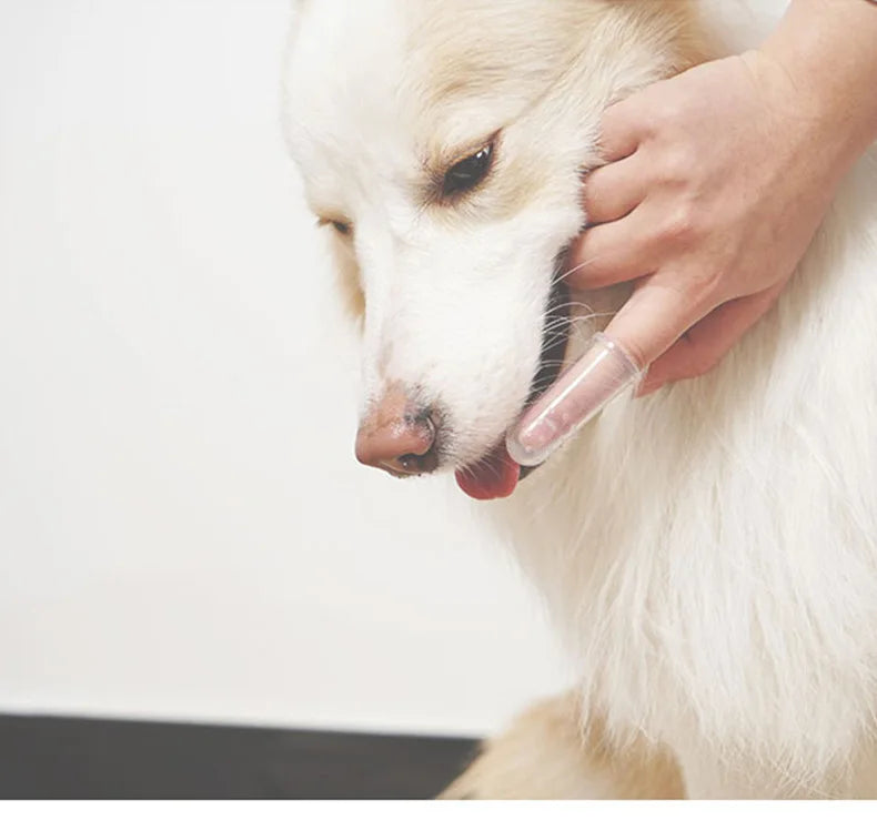 With Box Silicone Soft Pet Finger Cuff Toothbrushes Dog Brush Bad Breath Tartar Teeth Care Tool Cleaning Scrub Silicagel