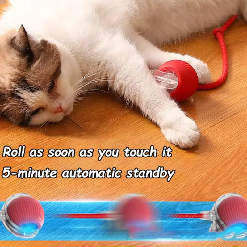 Cat Interactive ball Toy, Automatic Rolling Ball with Tail, Rechargeable Smart Pet Interactive Toy, Intelligent toy for Cat