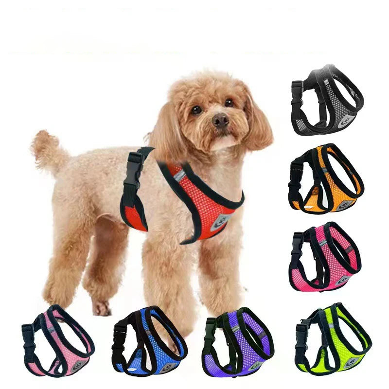 Hot summer small dog pet chest and back breathable dog chest and back suit cat outdoor traction rope child collar