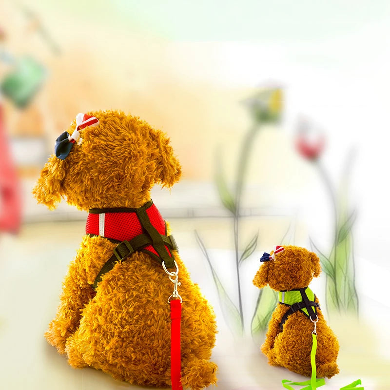 Hot summer small dog pet chest and back breathable dog chest and back suit cat outdoor traction rope child collar