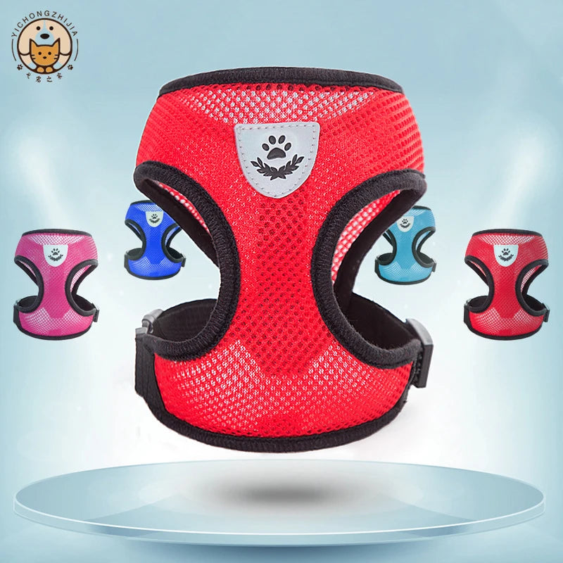 Hot summer small dog pet chest and back breathable dog chest and back suit cat outdoor traction rope child collar
