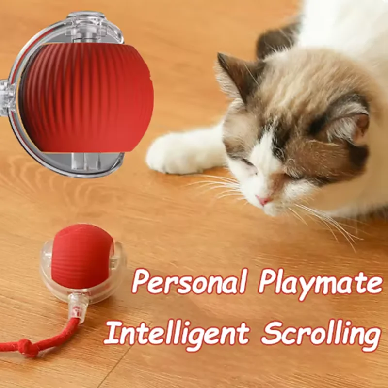 Cat Interactive ball Toy, Automatic Rolling Ball with Tail, Rechargeable Smart Pet Interactive Toy, Intelligent toy for Cat