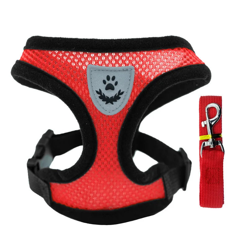Pet chest strap cat leash dog chest strap dog walking leash small dog solid vest type cat leash prevent loss