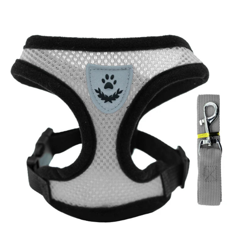 Hot summer small dog pet chest and back breathable dog chest and back suit cat outdoor traction rope child collar